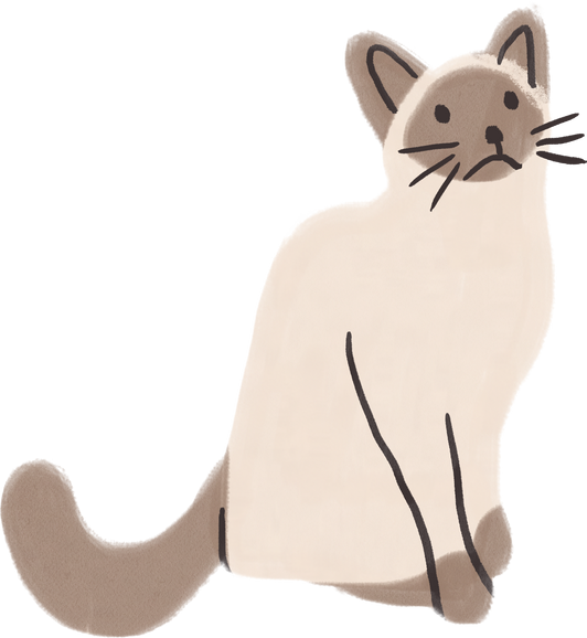 Handdrawn Ragdoll Cat
